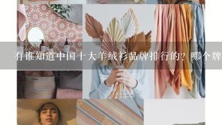 有谁知道中国十大羊绒衫品牌排行的？哪个牌子的最好？