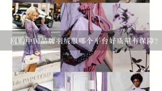 网购中国品牌羽绒服哪个平台好质量有保障?